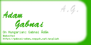 adam gabnai business card